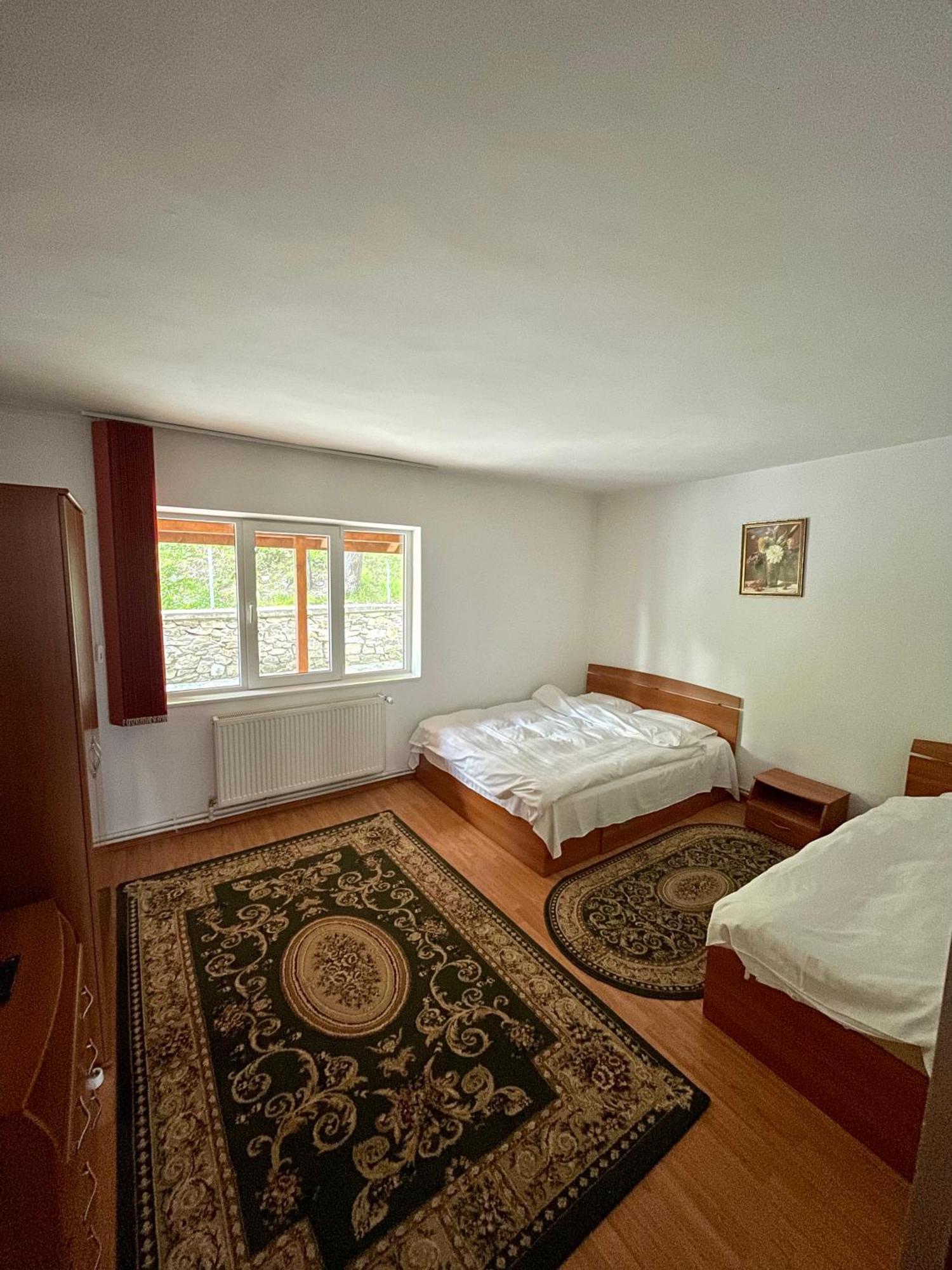 Casa De Vacanta Trei Brazi Rânca Extérieur photo