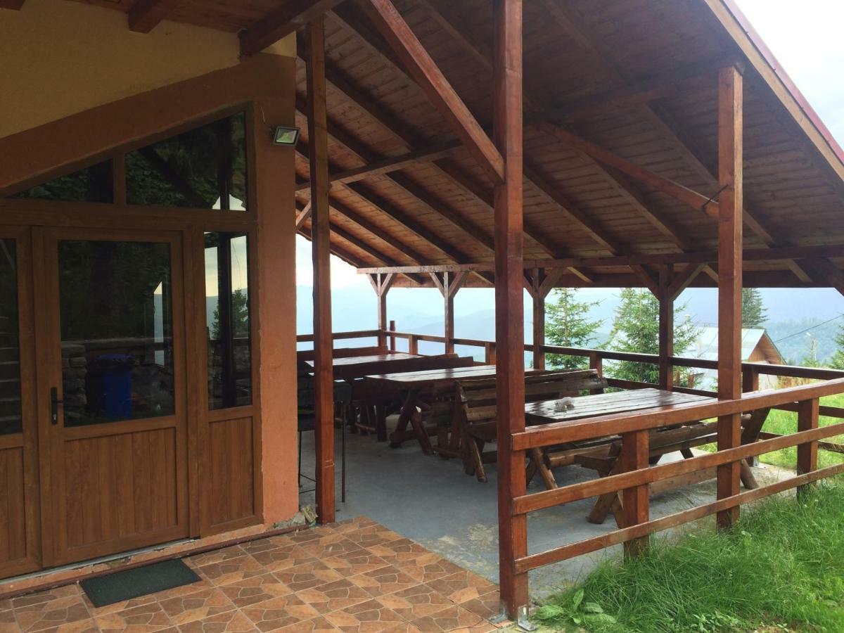 Casa De Vacanta Trei Brazi Rânca Extérieur photo